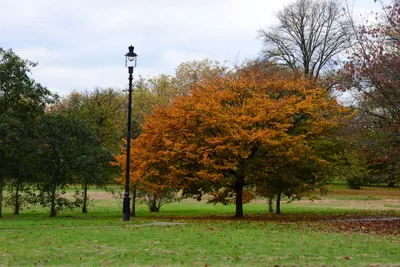 DSC_0584 (Large).JPG